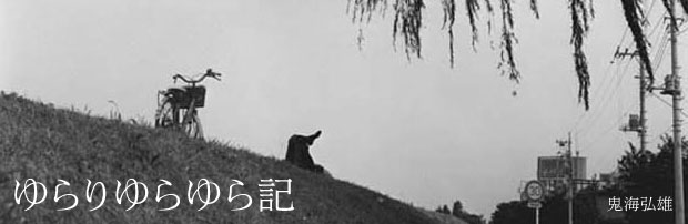ゆらりゆらゆら記　鬼海弘雄